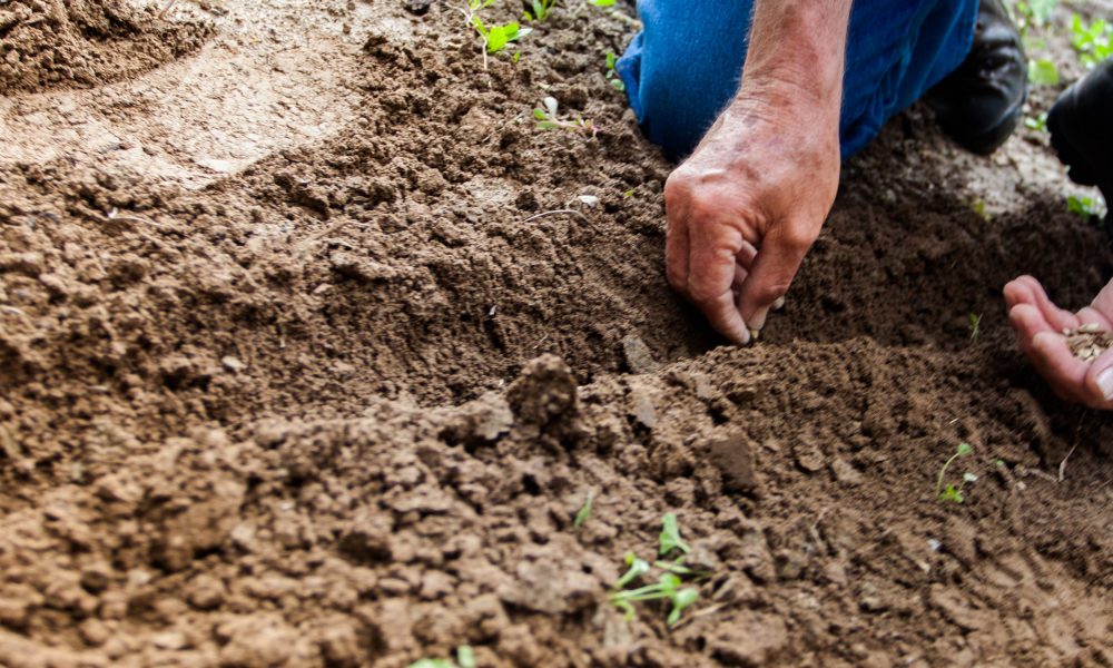 gardening